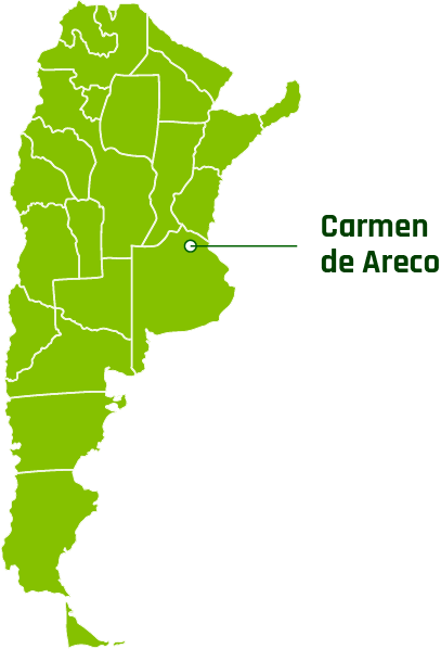 Recurso 10