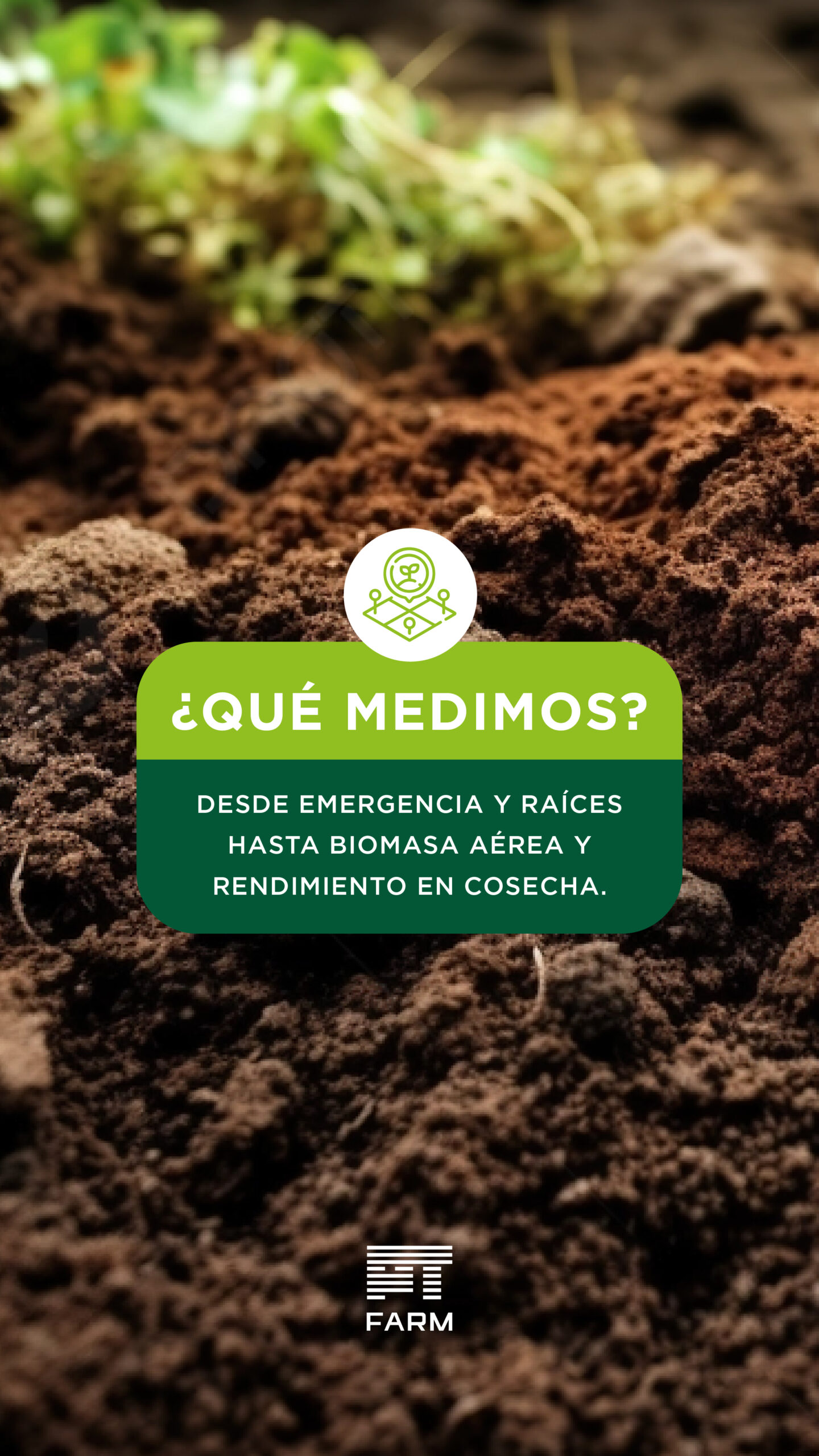 E imagen 1