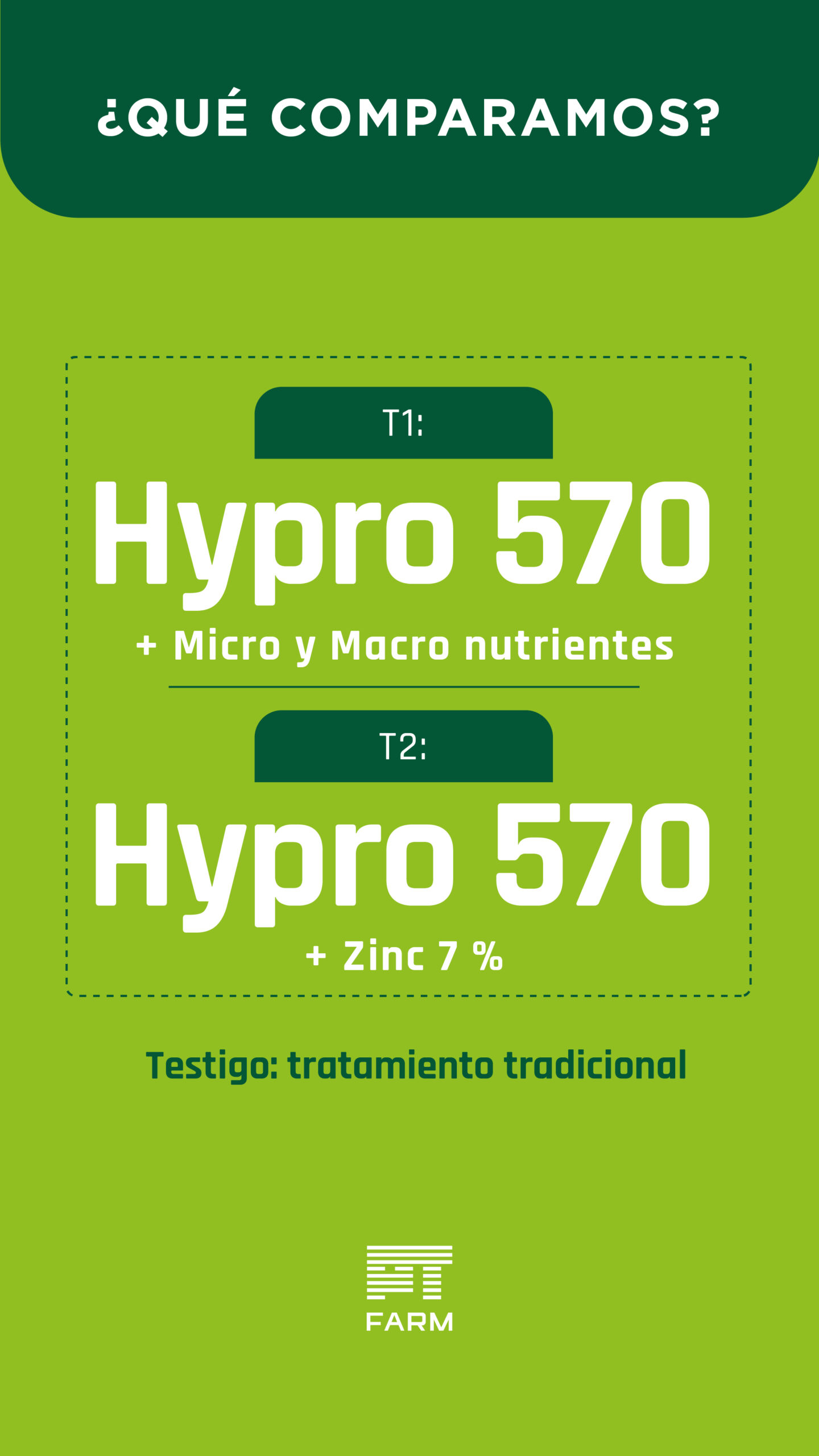 E imagen 2
