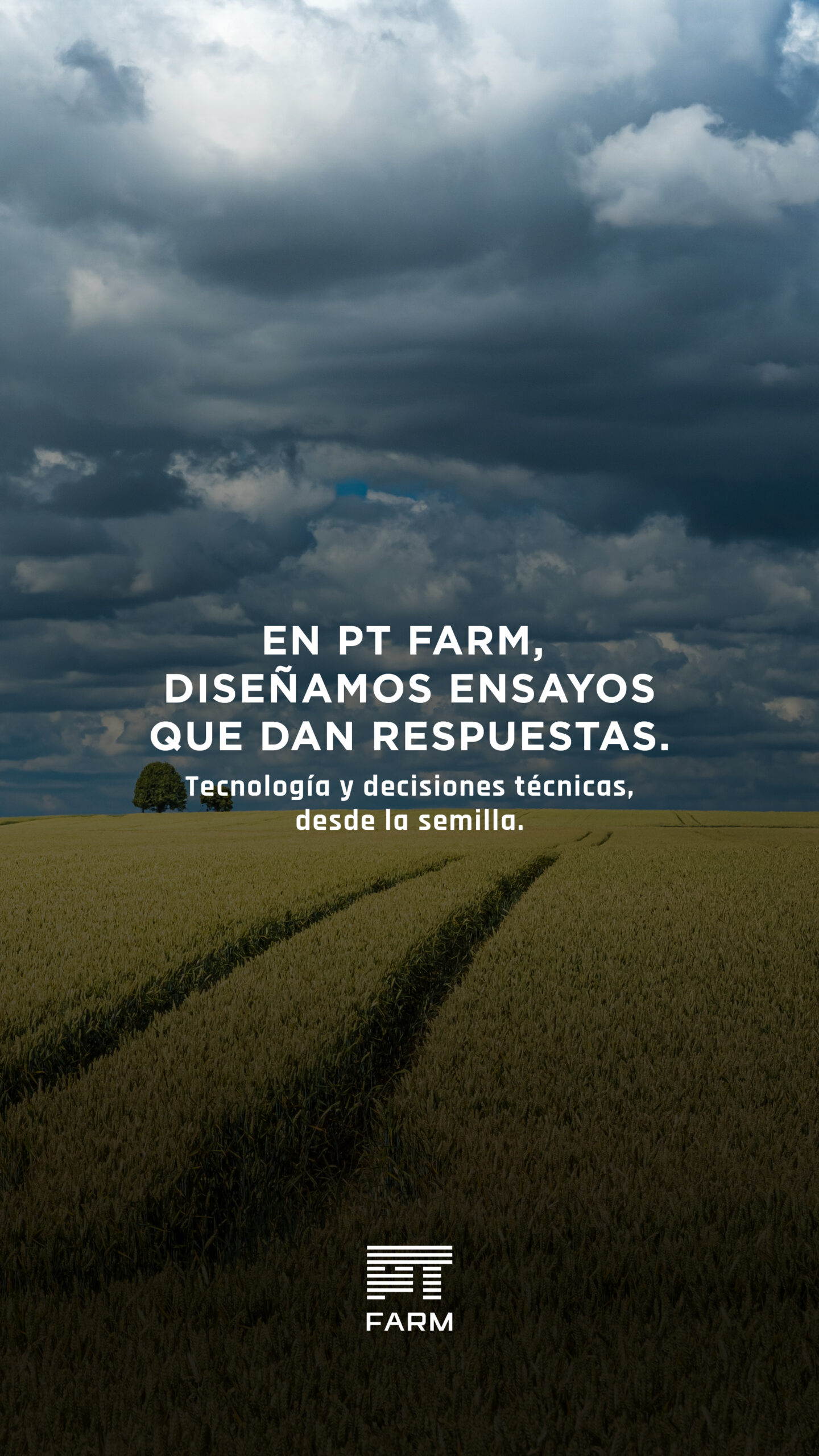 E imagen 3