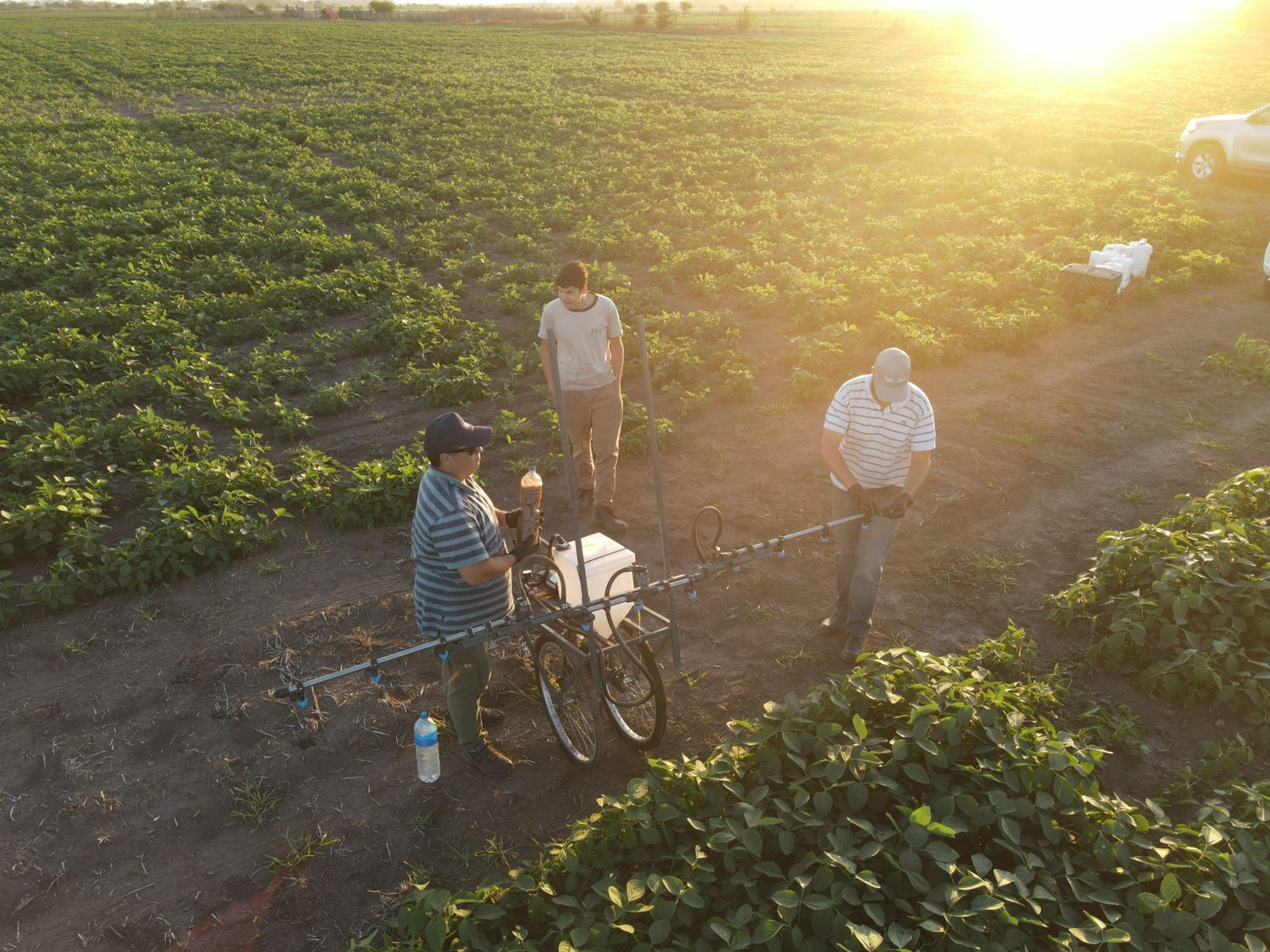 Trabajo en campo